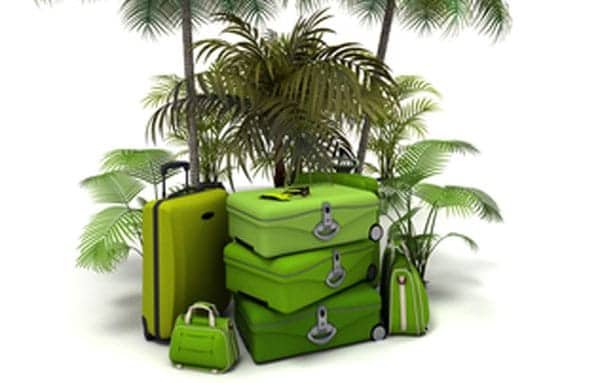 green-holiday essentials