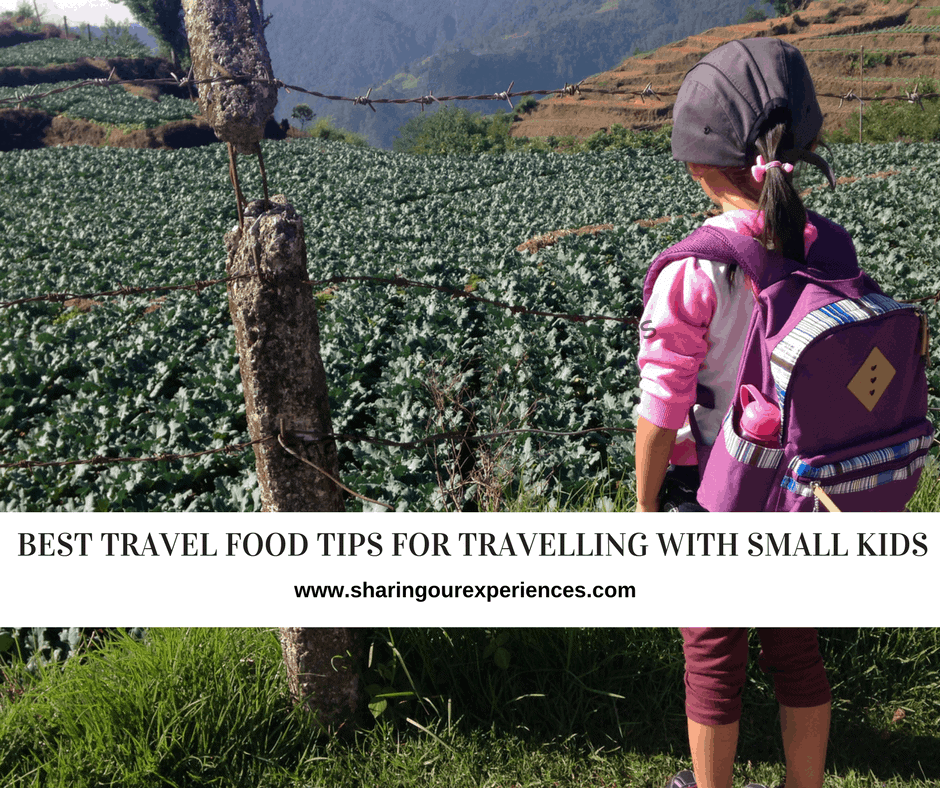 Best Travel food tips for travelling with small kids