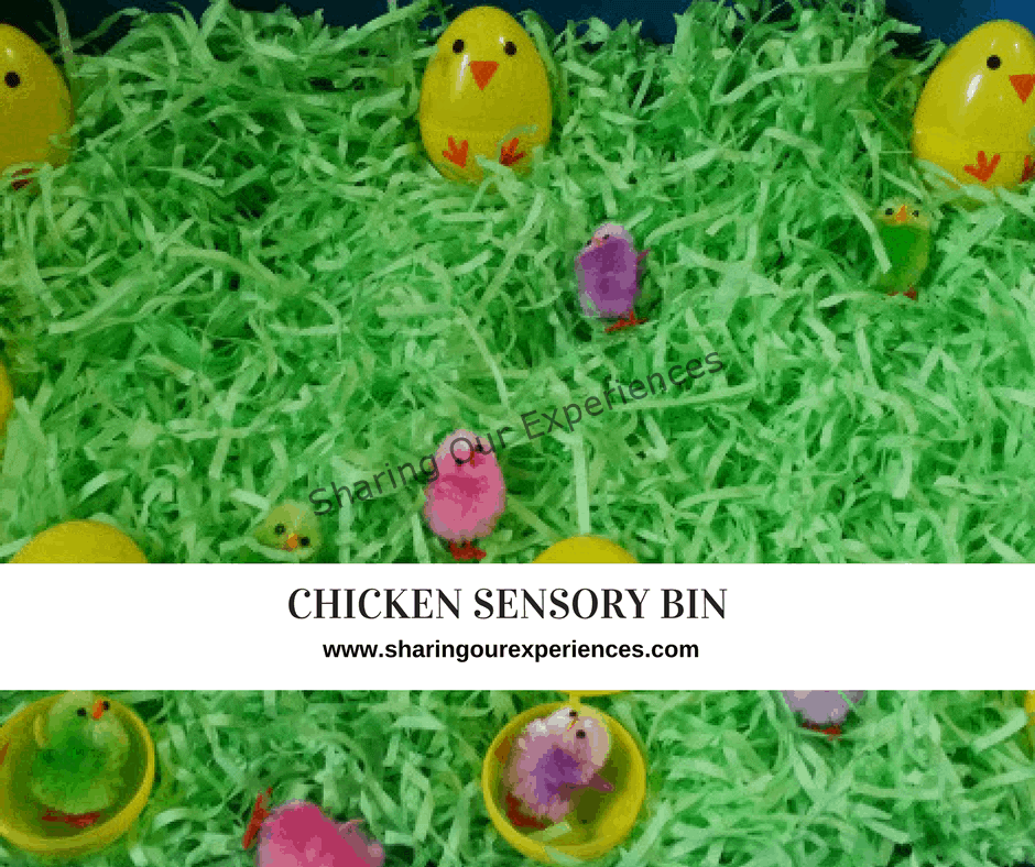 Chicken Sensory Bin