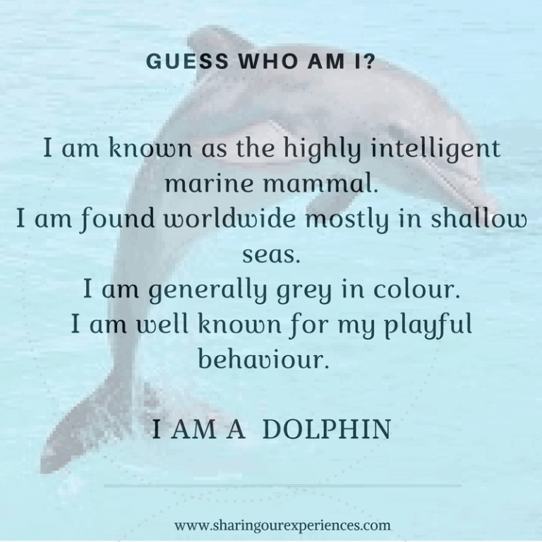 Easy Riddles For Kids Excellent Way To Encourage Critical Thinking Easy riddles for kids excellent way to encourage critical thinking