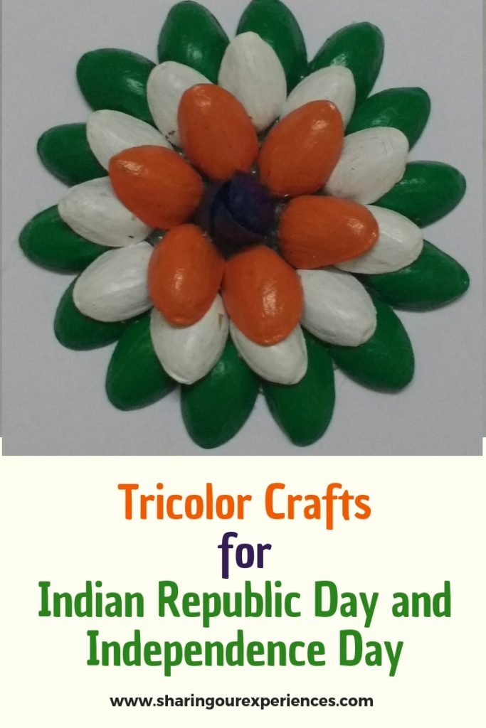 Tricolor craft with pista_pin