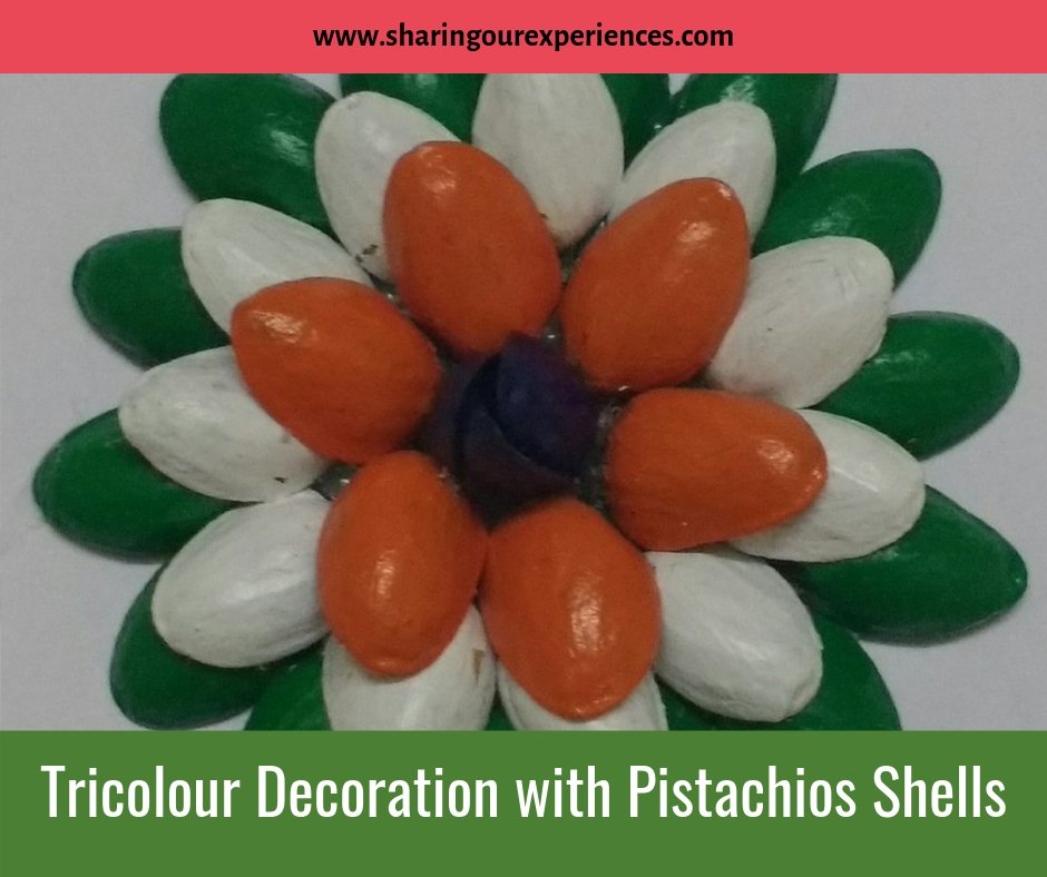 Tricolour Flower or wall decoration with Pistachios Shells