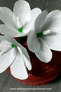 How to make easy crepe paper flowers