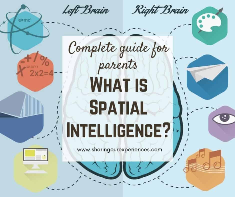 What is spatial intelligence