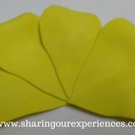 How to make Foam Flowers | Sharing Our Experiences