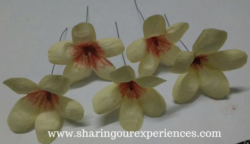 Frangipani Crepe Paper Flower 13