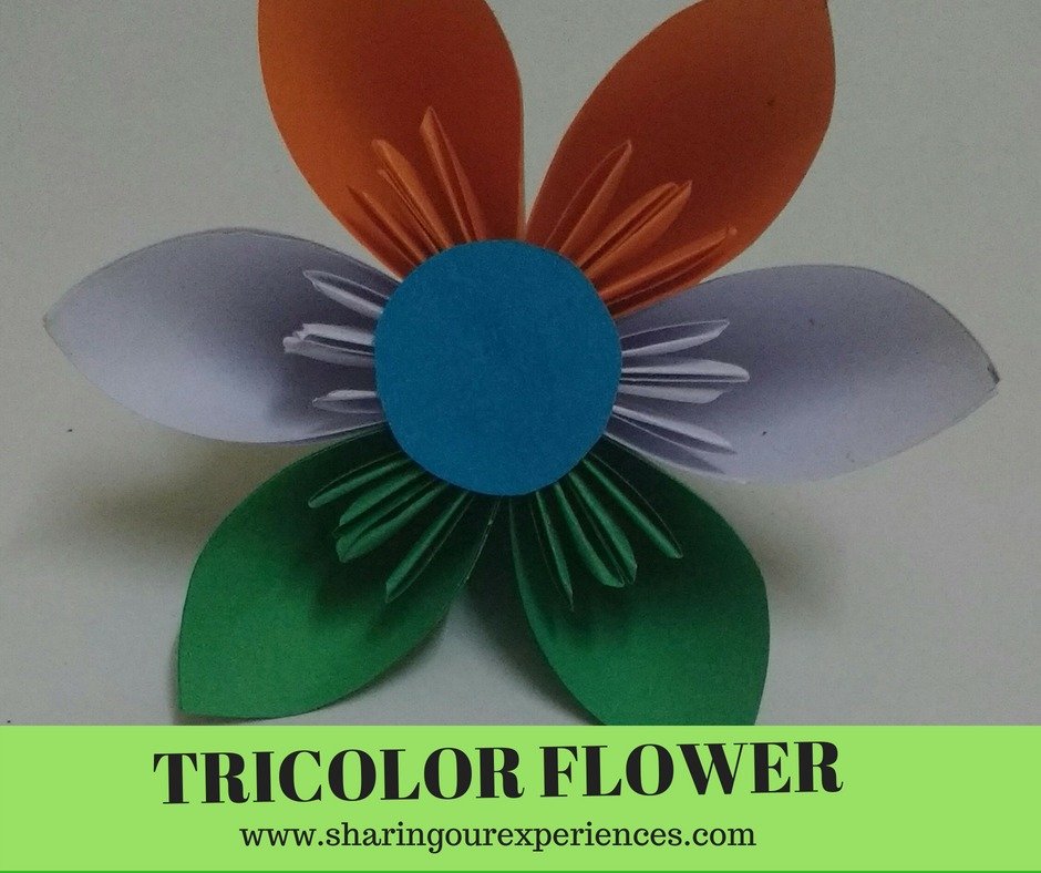 Tricolor Independence day craft for kids and adults