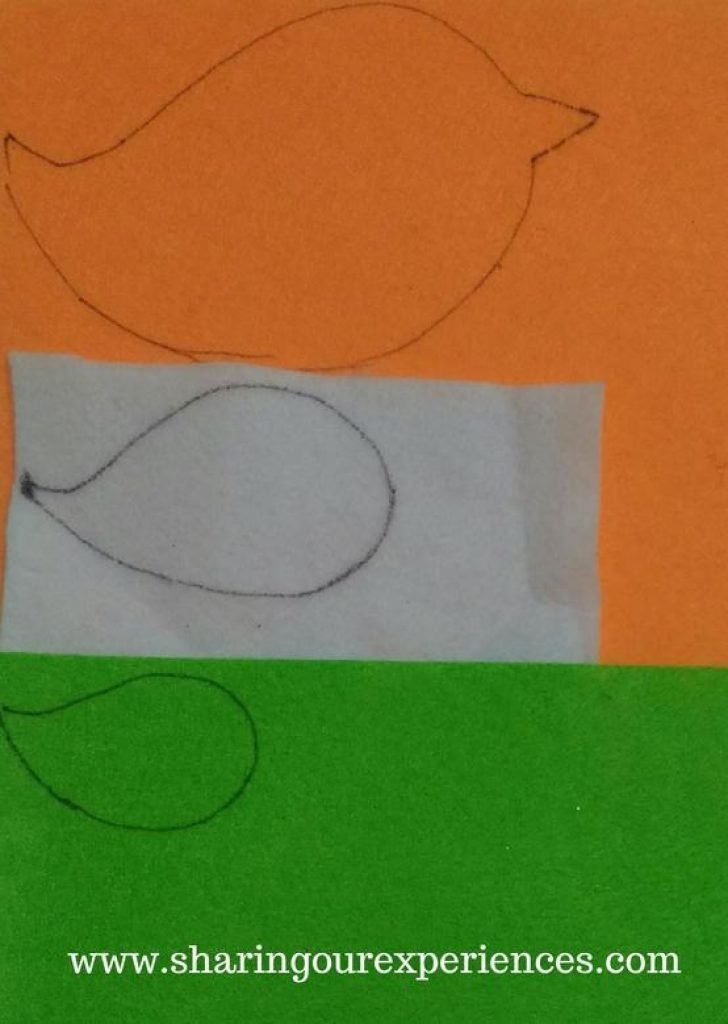 Tricolor Independence day crafts and activities for adults and kids