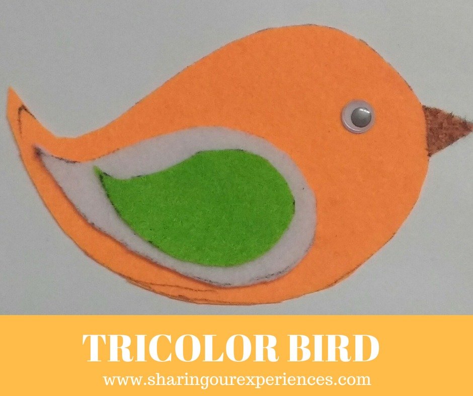 Tricolor Independence day craft for kids and adults