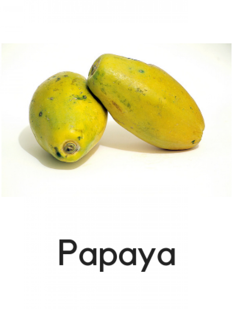 SOE store kids Fruits and Vegetables Flashcards for kids (with real