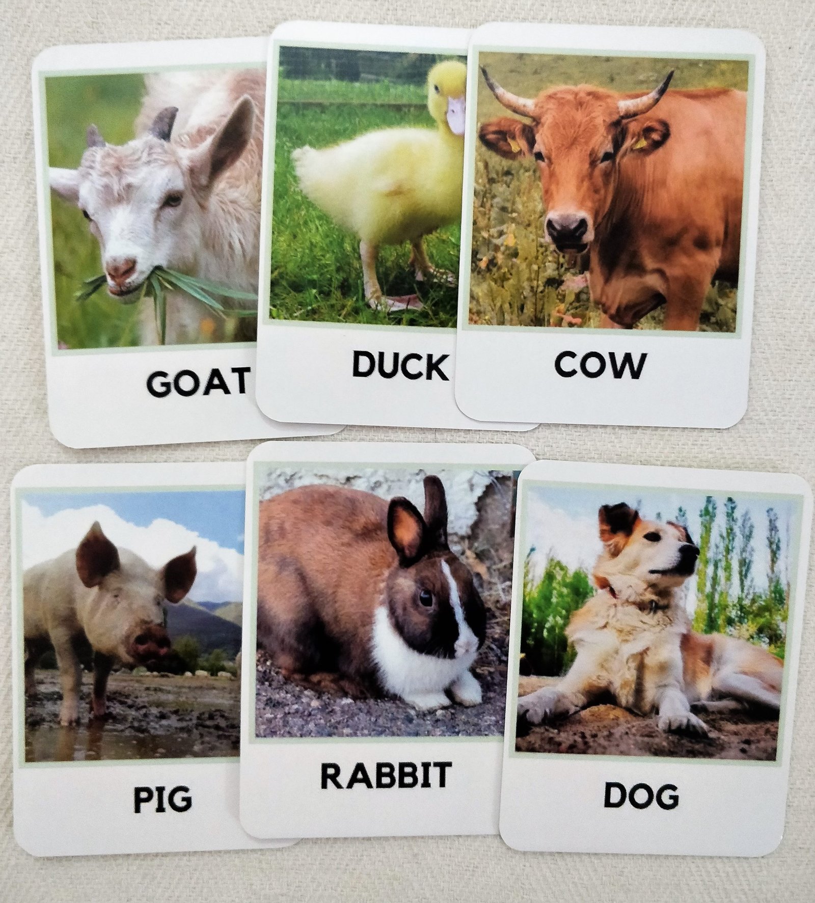Farm animals flash cards