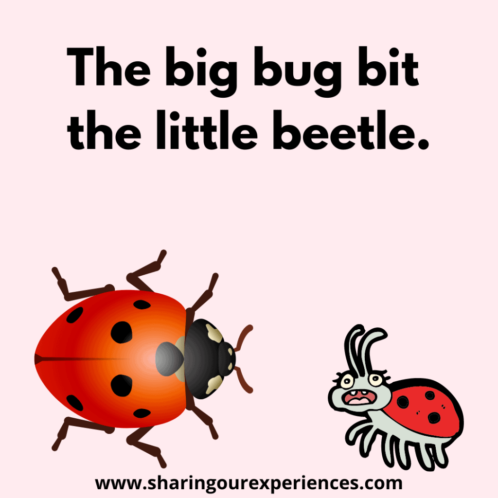 Easy and funny English tongue twisters for children. The big bug bit the little beetle.png