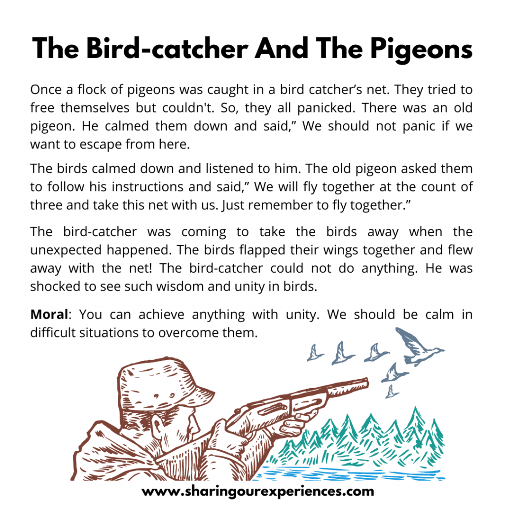 Most Popular Moral Stories For Kids- The Birdcatcher And The Pigeon