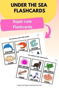 Under the sea Flashcards