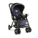 SOE Best Strollers