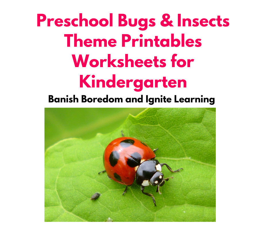 Preschool Bugs & Insects Theme Printables Worksheets for Kindergarten