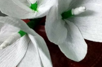 How to make easy crepe paper flowers
