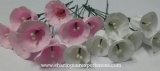 How to make Pink And White Crepe Paper Flowers