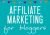 Carly’s affiliate marketing for bloggers course