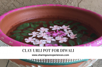 Clay Urli pot for Diwali