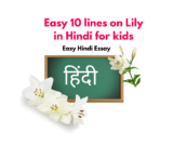 Easy 10 lines on Lily in Hindi for kids