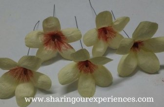 How to make Frangipani Crepe Paper Flowers