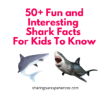 50 Fun And Interesting Shark Facts For Kids To Know