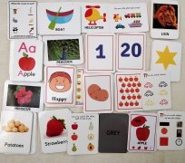 SOE Store kids Educational Flash cards Combo for kids Complete Preschool learning pack Flashcards for kids. Learn alphabets (ABC), numbers (1- 20) Animals Fruits Vegetables Transportation Colours Shapes Emotions Flowers Birds + Reusable activities (Total 120 Thick Laminated Flash cards for kids)