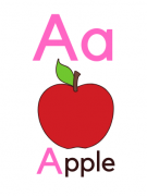 SOE Store Kids Alphabets Flashcards for Kids Travelfriendly Flashcards Learn Alphabets ABC Easily