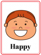 SOE Store Emotions Flash Cards for Kids with Wipe and Clean Reusable Activities (Laminated Travel Friendly Feelings flashcards)