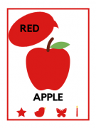 SOE Store Kids Colours and Shapes Flashcards for Kids (Toddlers, Preschoolers, Prenursery and Nursery) Learn Colours and Shapes with These Laminated, travelfriendly and Waterproof Travel Toys flashcards