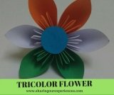 Tricolor Kusudama Flower | Try these Origami flowers for kids on Independence day/Republic Day