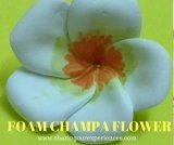 White Champa Flower Foam Craft for Kids – Easy step by step tutorial