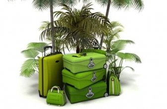 Green Holiday Essentials