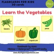 Vegetables Flashcards for kids | #Travelfriendly #Handmade by #moms #Flashcards #Learnvegetables #Kids