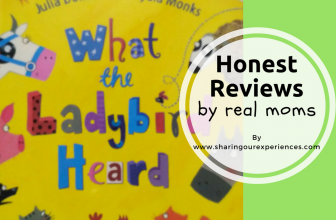 What the Ladybird Heard : Book Review by real moms